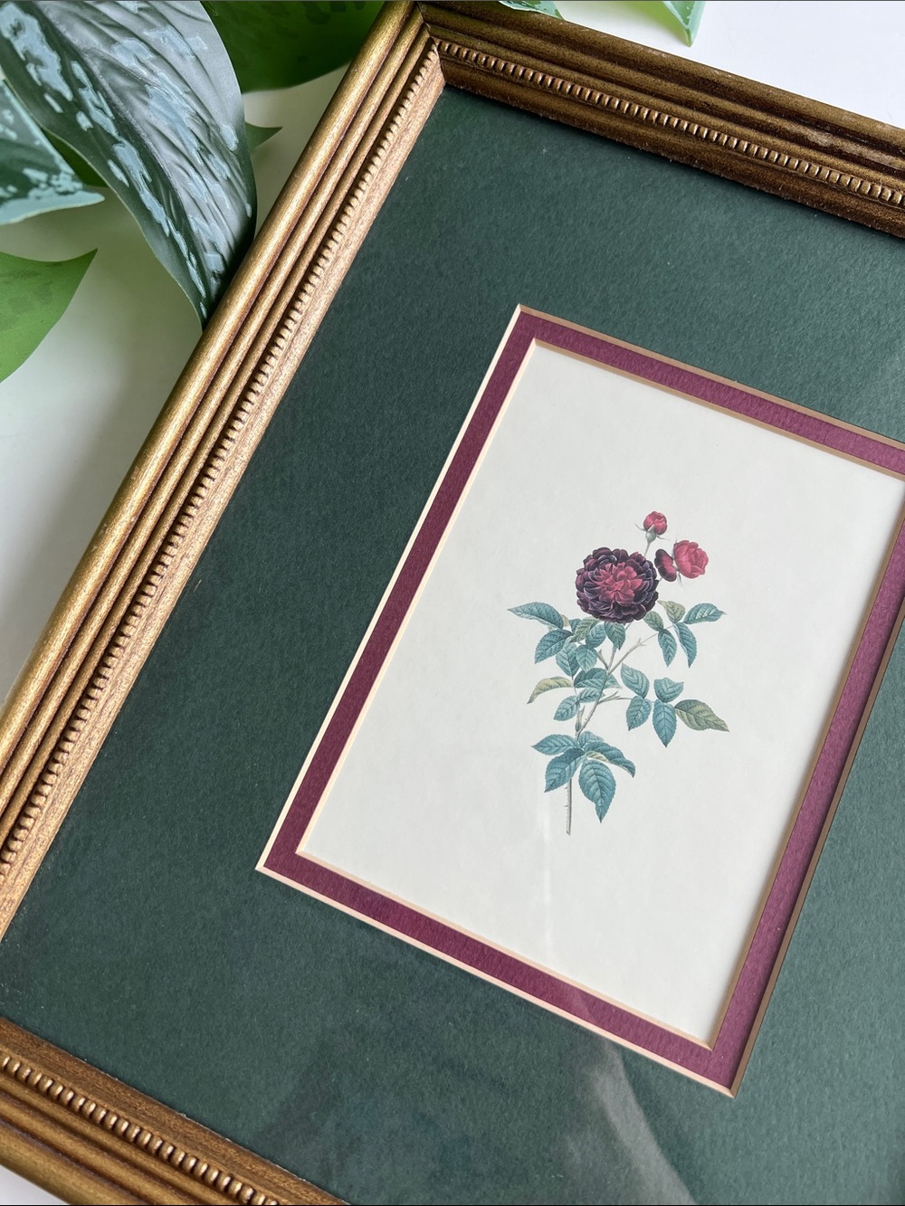 Vintage Framed Floral Art Print
